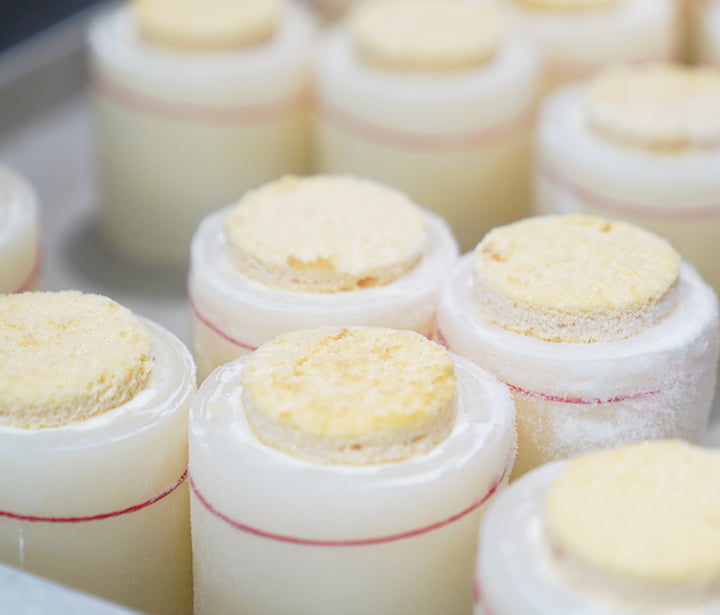 シリコン型使用の様子